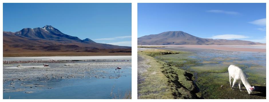 paysages Bolivie